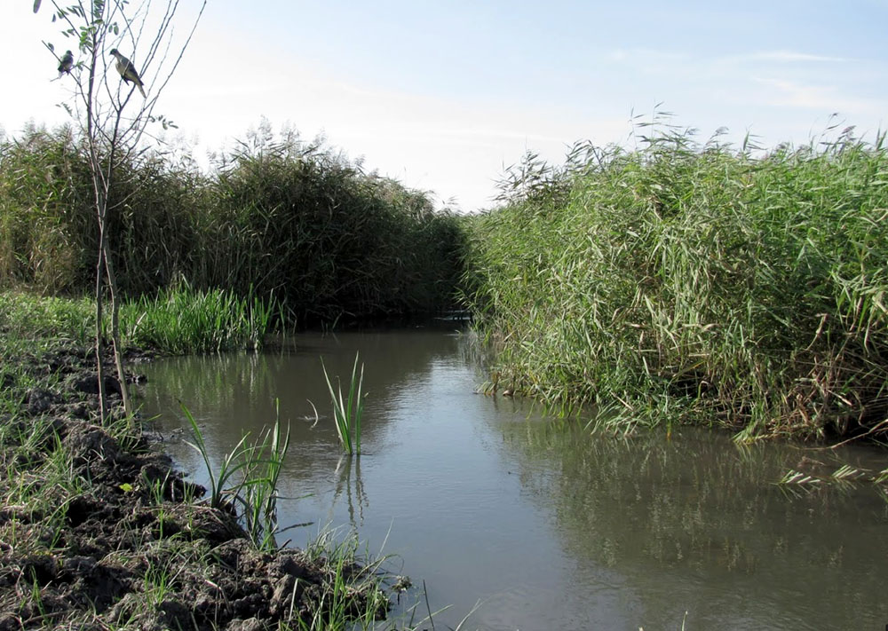 Річка Конка